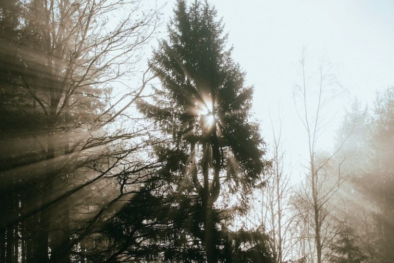 East-facing sunrise used in ritual activation for Jia Yin scroll