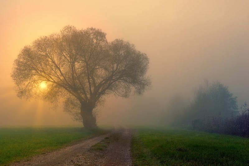 Traveler walking along winding mountain path under shifting light